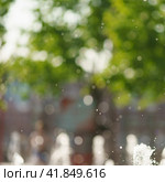 Defocused photography of water drops in the air in the hot summer day. Green fresh lush foliage as background. Irrigation of lawn. Стоковое фото, фотограф YuryKara / Фотобанк Лори