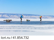 BAIKAL LAKE, IRKUTSK REGION, RUSSIA - February 22, 2015: Couple of tourists skate on ice of frozen Small Sea along Olkhon Island on frosty sunny day. Sleds carry tents, skis and overnight equipment. Редакционное фото, фотограф Виктория Катьянова / Фотобанк Лори