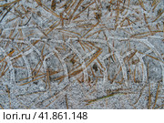 Фрагмент накатанной проселочной дороги зимой. Стоковое фото, фотограф YuryKara / Фотобанк Лори