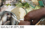 Close-up of a man's hands pulling out the entrails of a fresh fish from its gutted belly. Cutting up fresh fish in the outdoors. Preparing for cooking. Стоковое видео, видеограф Воловодов Владимир / Фотобанк Лори