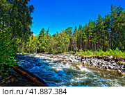 Горная река, впадающая в Телецкое озеро. Горный Алтай. Стоковое фото, фотограф Макаров Алексей / Фотобанк Лори
