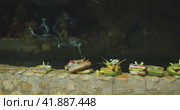 Canang Sari daily offerings made by Balinese Hindus to thank God Deva in praise and prayer. Baskets (2023 год). Стоковое видео, видеограф Ольга Сухарева / Фотобанк Лори
