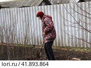 Женщина  перекапывает лопатой огород ранней весной (2020 год). Редакционное фото, фотограф Юлия Сергеевна Купина / Фотобанк Лори