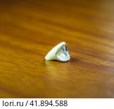 Tooth, metal ceramic crown on the table. Denture made of metal ceramics. Стоковое фото, фотограф Леонид Еремейчук / Фотобанк Лори