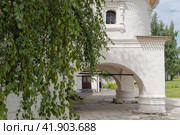 Старица, Тверская область, Россия, август 2021 года. Свисающие ветви берёзы с зелеными листьями на фоне белой стены входа в церковь Иоанна Богослова в Старицком Свято-Успенском мужском монастыре. Стоковое фото, фотограф Сергей Никифоров-Гордеев / Фотобанк Лори