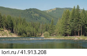 Video of Altai river Bashkaus. On the river banks there is siberian larch taiga forest. Стоковое видео, видеограф Сергей Пристяжнюк (Serg Zastavkin) / Фотобанк Лори