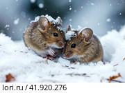 Snowstorm, two mice snuggling together and almost covered in snow, ,Generative AI. Стоковое AI-изображение, AI-художник Анна Кривицкая / Фотобанк Лори