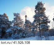 Smoke from a factory chimney. Ecological pollution. Air emissions polluting forest. Industrial waste. Industry metallurgical plant emissions. Smog and bad ecology. Central heating of CHP in winter. Стоковое фото, фотограф Юлия Петровская / Фотобанк Лори