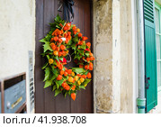 Autumnal wreath with Physalis on a door. Стоковое фото, фотограф Irina Kuchugurina/Gaudy / Фотобанк Лори