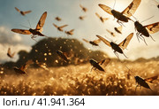Migratory locust swarm. Locusta migratoria. Acrididae. Oedipodinae. Agriculture and pest control. AI. Стоковое AI-изображение, AI-художник Sergey Grishin / Фотобанк Лори