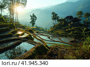 Rural landscape with rice fields on mountain slopes. Стоковое AI-изображение, AI-художник Евгений Харитонов / Фотобанк Лори