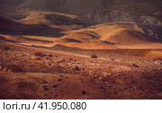 Desert within Altai mountain range, valley. Red texture. Стоковое фото, фотограф Катерина Ковалева / Фотобанк Лори