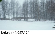 Heavy snowfall. Beautiful forest landscape of snow and blurred trees. Gently falling snow flakes. Bad snowy weather cold day. Winter nature background. Nobody, No People, Super Slow motion. Snowstorm. Стоковое видео, видеограф Марина Демидюк / Фотобанк Лори