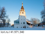 Колокольня старинной церкви Покрова Пресвятой Богородицы солнечным январским вечером. Александров (Александровская слобода). Владимирская область (2024 год). Стоковое фото, фотограф Виктор Карасев / Фотобанк Лори