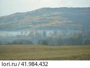 Домбай. Осень. Лес и горы, туман (2020 год). Редакционное фото, фотограф Антонина Кудактина / Фотобанк Лори