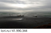 Крым, Евпатория курорт зима, чёрное море лебеди, снег (2024 год). Стоковое видео, видеограф Андрей Макаренко / Фотобанк Лори