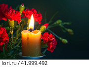 Горящая свеча и красные гвоздики. Место для текста. Стоковое AI-изображение, AI-художник Щеголева Ольга / Фотобанк Лори