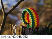 Paracord bracelet. Стоковое фото, фотограф Артем Лукин / Фотобанк Лори