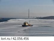 Ледокол "Магадан"  на фоне Русского моста в городе Владивосток (2024 год). Редакционное фото, фотограф syngach / Фотобанк Лори