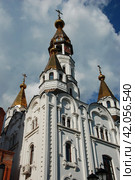 Церковь Иконы Божией Матери Боголюбская в Пушкино (новая). Московская область (2011 год). Стоковое фото, фотограф lana1501 / Фотобанк Лори