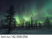 Northern lights reflected in the water. Стоковое фото, фотограф Данил Хусаинов / Фотобанк Лори