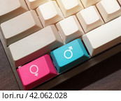 Необычная клавиатура - мужчина и женщина. Розовая и синяя клавиши на светлой клавиатуре. Стоковое фото, фотограф Евгения Золкина / Фотобанк Лори