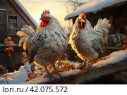 Roosters in the village in winter,Generative AI. Стоковое AI-изображение, AI-художник Анна Кривицкая / Фотобанк Лори