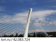 The new bridge in Podgorica city, Montenegro (2018 год). Стоковое фото, фотограф Сергей Стрелков / Фотобанк Лори