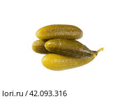 Pickled, marinated cucumbers. Соленые, маринованные огурцы. Стоковое фото, фотограф Roman B. / Фотобанк Лори