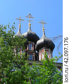 Храм Ризоположения на Донской. Донская улица, 20/6, строение 1. Москва (2011 год). Стоковое фото, фотограф lana1501 / Фотобанк Лори