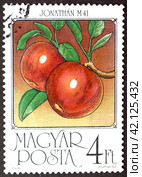 Почтовая марка с гашением Венгрия 1986 год.  Яблоки, сорт Джонатан М41 (2024 год). Редакционное фото, фотограф Елена Бобкова / Фотобанк Лори