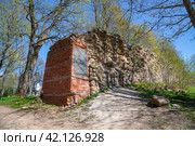 У стен старой крепости. Гдов, Псковская область (2023 год). Стоковое фото, фотограф Анна Карасева / Фотобанк Лори