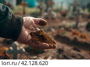 Похороны, кладбище. Мужчина бросает горсть земли в могилу. Стоковое AI-изображение, AI-художник Щеголева Ольга / Фотобанк Лори