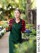 Smiling salesgirl offering potted Chlorophytum comosum in greenhouse. Стоковое фото, фотограф Яков Филимонов / Фотобанк Лори