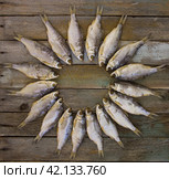 Dried fish. Стоковое фото, фотограф Андрей С / Фотобанк Лори