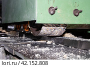 Industrial saw blade with serrations close up. Стоковое фото, фотограф Аксенова Вера / Фотобанк Лори