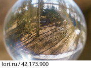 Photography of clear crystal ball lying at the sand of the beach. water and yellow sand as background. It 's getting warmer. Miracle view.  Close up. Стоковое фото, фотограф YuryKara / Фотобанк Лори