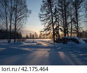 Снег искрится на заснеженном футбольном поле зимним вечером. Стоковое фото, фотограф Евгений Горбунов / Фотобанк Лори