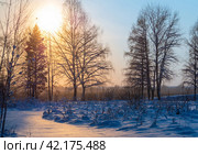 Снег искрится на заснеженном поле зимним вечером. Стоковое фото, фотограф Евгений Горбунов / Фотобанк Лори