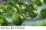 Brussels sprouts fall on the table. Filmed on a high-speed camera at 1000 fps. Стоковое видео, видеограф Артем Шадрин / Фотобанк Лори
