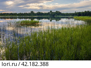 Beautiful forest lake. Boat with fishermen in the distance. Outdoor recreation and fishing on the lake. Summer travel and vacation in the countryside. Стоковое фото, фотограф Андрей Степанов / Фотобанк Лори