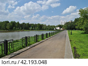 Нижний Афонинский пруд. Район Зюзино. Город Москва (2014 год). Стоковое фото, фотограф lana1501 / Фотобанк Лори