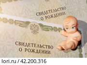 Два свидетельства о рождении и пупсик в лучах солнышка (2024 год). Редакционное фото, фотограф Евгения Золкина / Фотобанк Лори