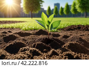 Planted young sapling of trees in an urban environment on territory of house. Background for gentrification of city. Concept of landscaping, nature, environment and ecology. Copy space. Стоковое AI-изображение, AI-художник Aleksandr Golubev / Фотобанк Лори