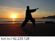 Tai chi sunset. Generate Ai. Стоковое AI-изображение, AI-художник Иван Рябоконь / Фотобанк Лори