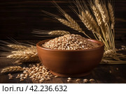Grains plate food. Generate Ai. Стоковое AI-изображение, AI-художник Иван Рябоконь / Фотобанк Лори