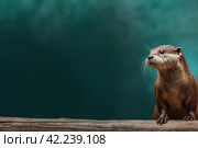 Otter animal. Generate Ai. Стоковое AI-изображение, AI-художник Иван Рябоконь / Фотобанк Лори