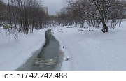 Птицы у открытой воды. Зима, городской парк Битца. Россия, город Москва, район Северное Бутово (2024 год). Стоковое видео, видеограф Щеголева Ольга / Фотобанк Лори