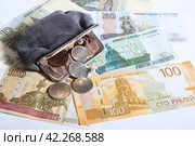 Монеты в кошельке на купюрах 100 и 5 рублей. Стоковое фото, фотограф Яна Королёва / Фотобанк Лори