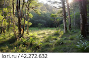 A sultry summer afternoon in the wild forest. The concept of wildlife. Стоковое AI-изображение, AI-художник Ярославский Максим / Фотобанк Лори